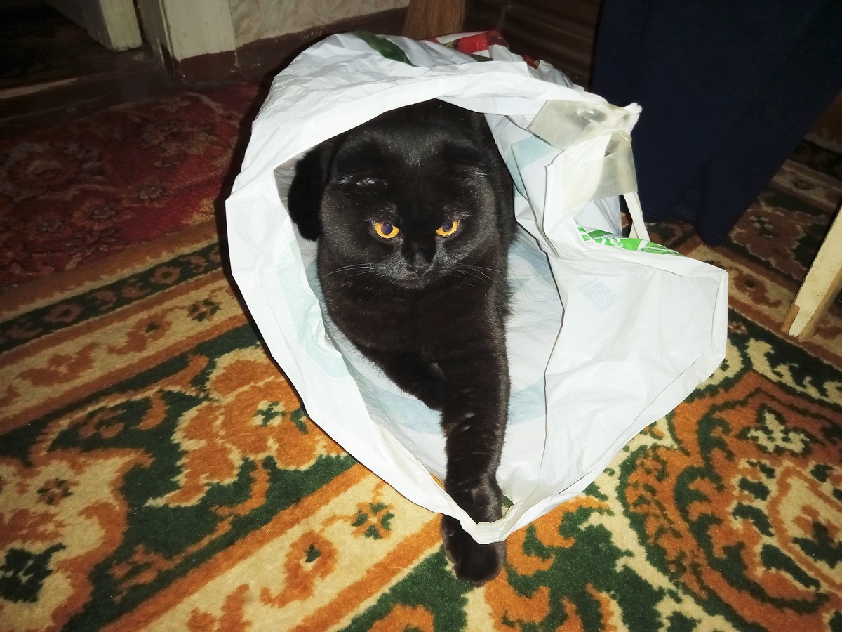 Благодарю за фото Марину АБРОЧНОВУ)