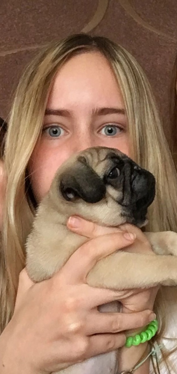 Первые дни жизни щенка в нашем доме. Напуганы все!