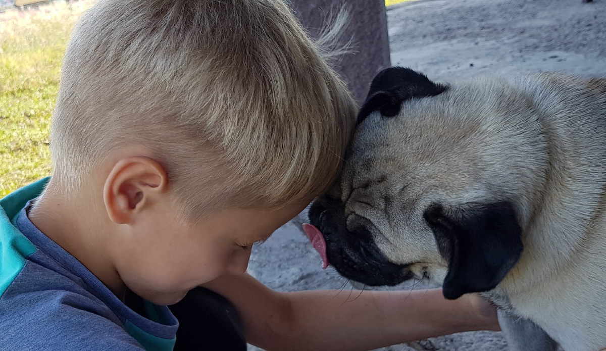 Лучшие друзья