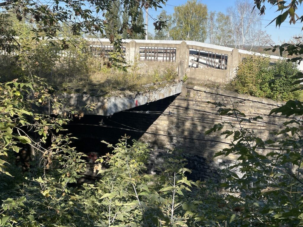    Фото: В курсе.ру Алена Калашникова