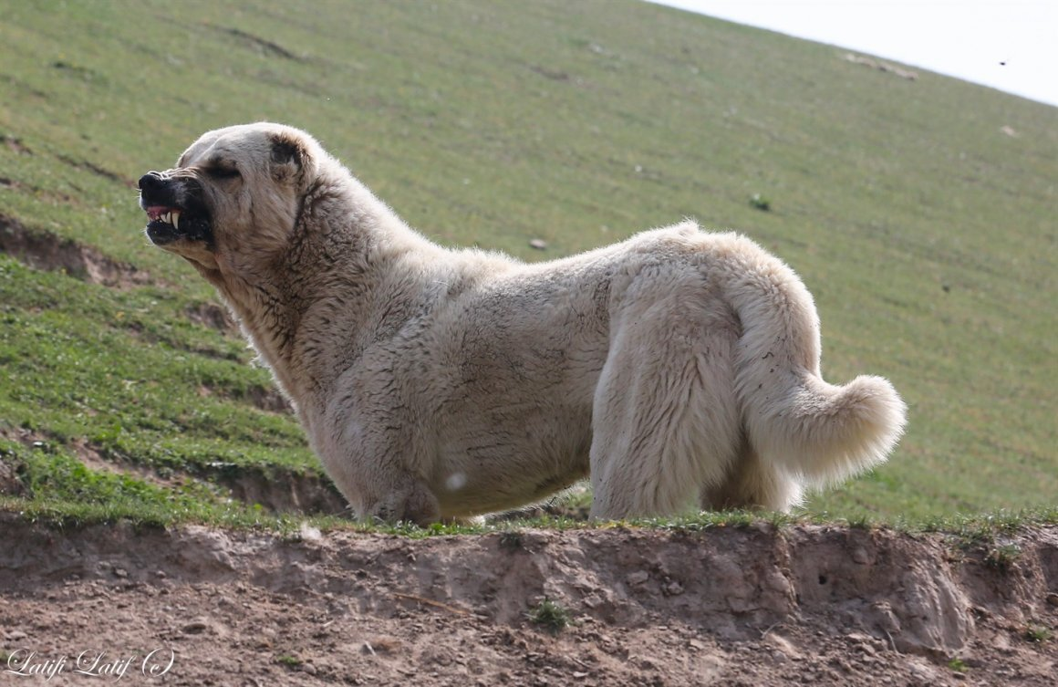 Фу, я чувствую слабость! 