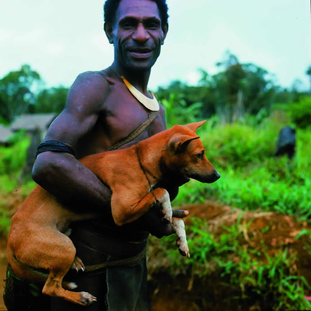 Моя карманная собачка умеет добывать еду. А что умеет делать ваша? 