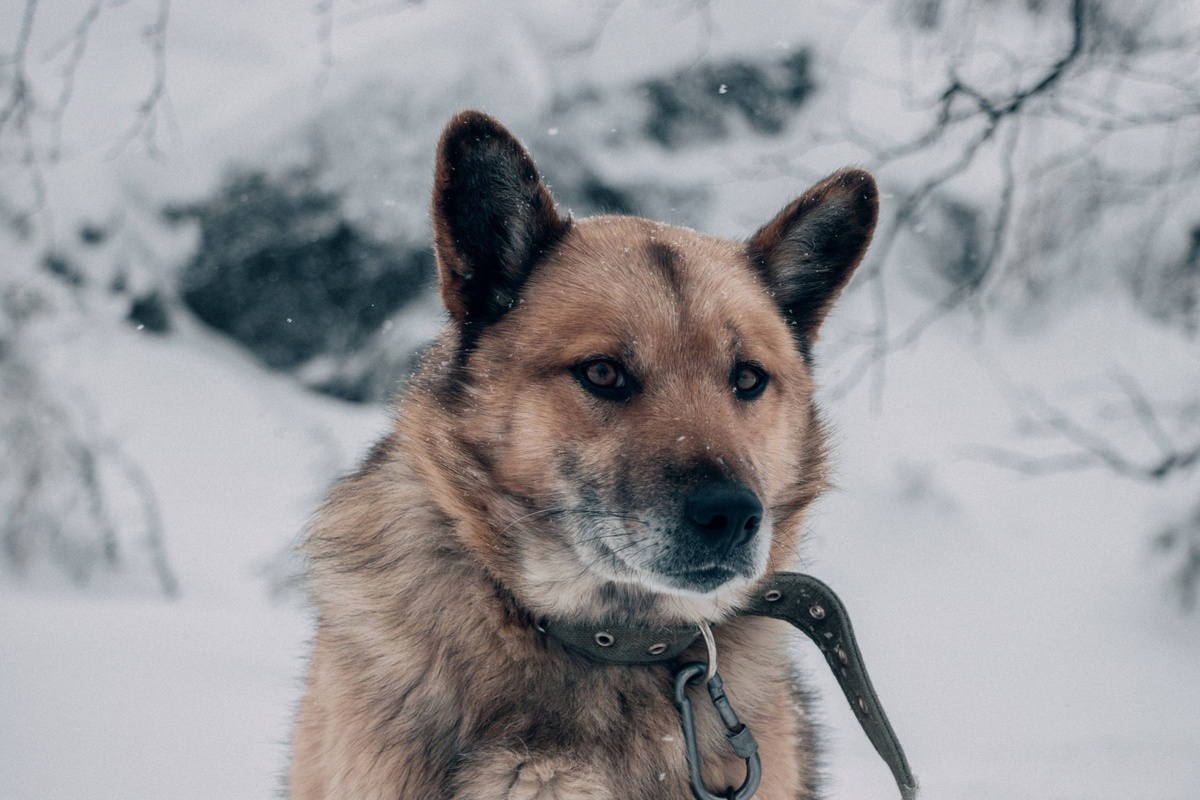 Фото: Алексей Крючков
