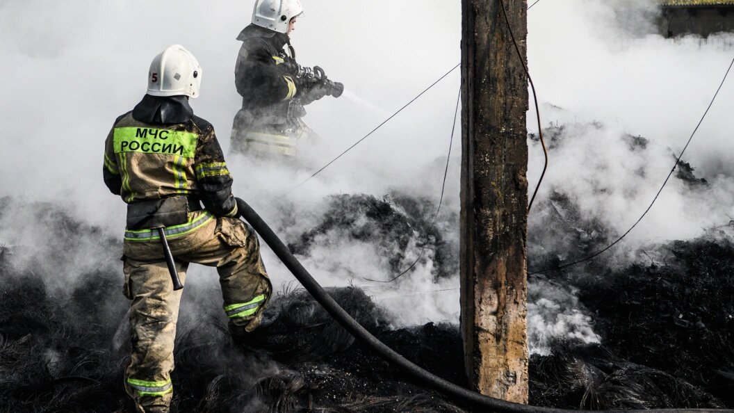    Ilya Moskovets/Globallookpress