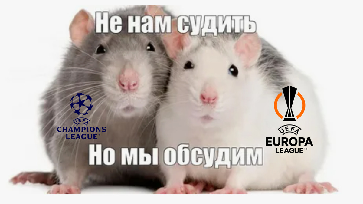 Покрысим, кто был Молодцом, а кто Холодцом!