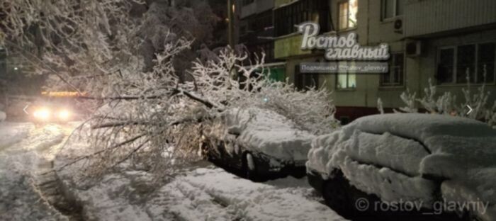Источник фото: Ростов-Главный/Vk.com