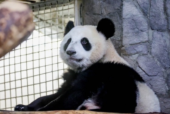    Алексей Белкин/NEWS.ru