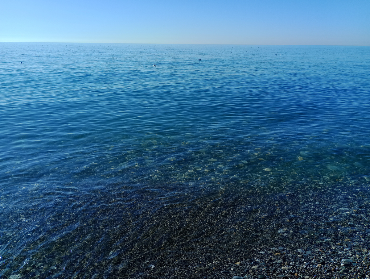 Море в Сочи в феврале. Фото автора