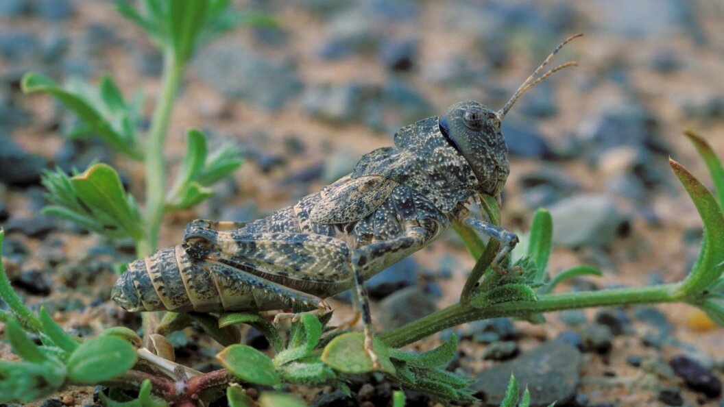    Konstantin Mikhailov/Russian Look/Globallookpress