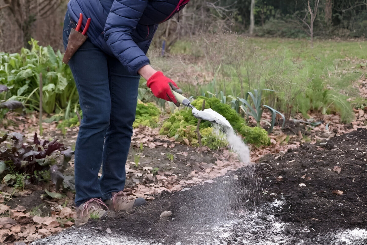 Посыпьте газон этим в феврале — и он отблагодарит красивой зеленью. Когда удобрение не нужно?