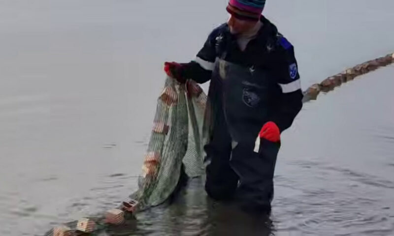    Фото t.me/opershtab23