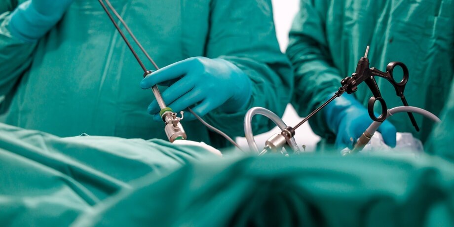 Фото: портал мэра и правительства Москвы/Олег Сосницкий