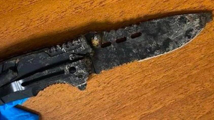    Фото: t.me/procspb