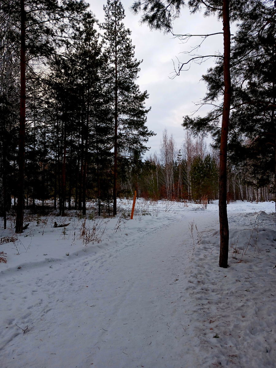 "Доброе утро, мир! Ты прекрасен!" Фото автора