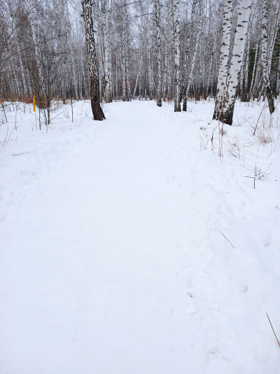 Гладкая ледяная тропка. Фото автора
