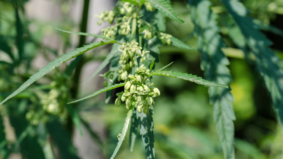 Фото: Олег Харсеев / Коммерсантъ