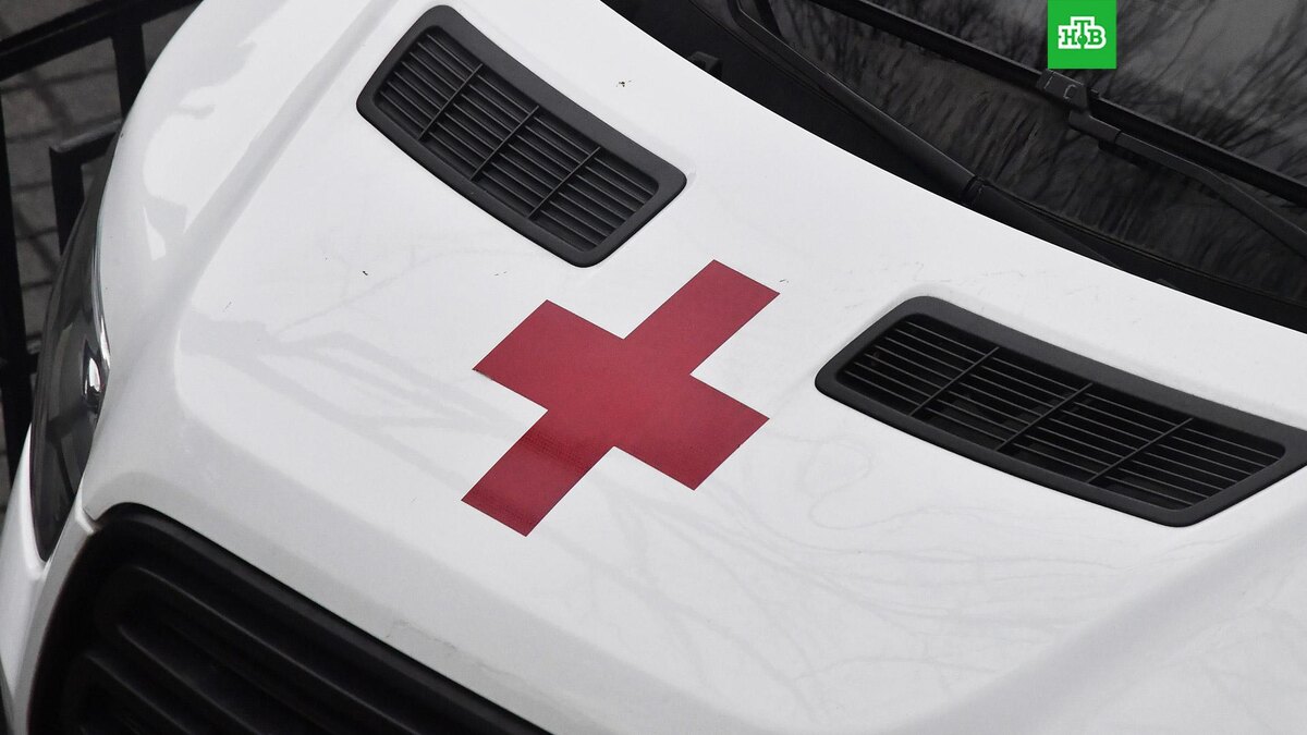    Фото: РИА Новости © 2025, Наталья Селиверстова