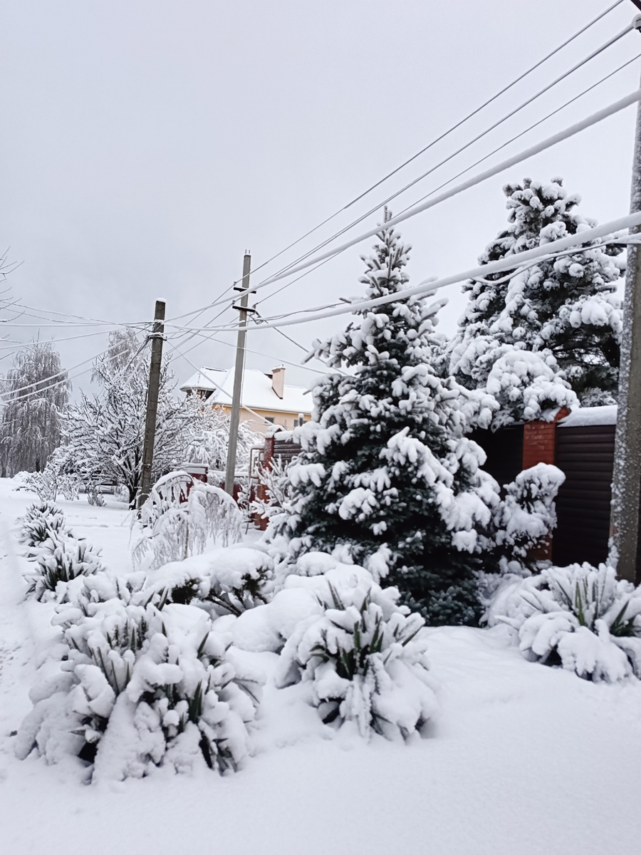 Вот такая красота была у нас утром