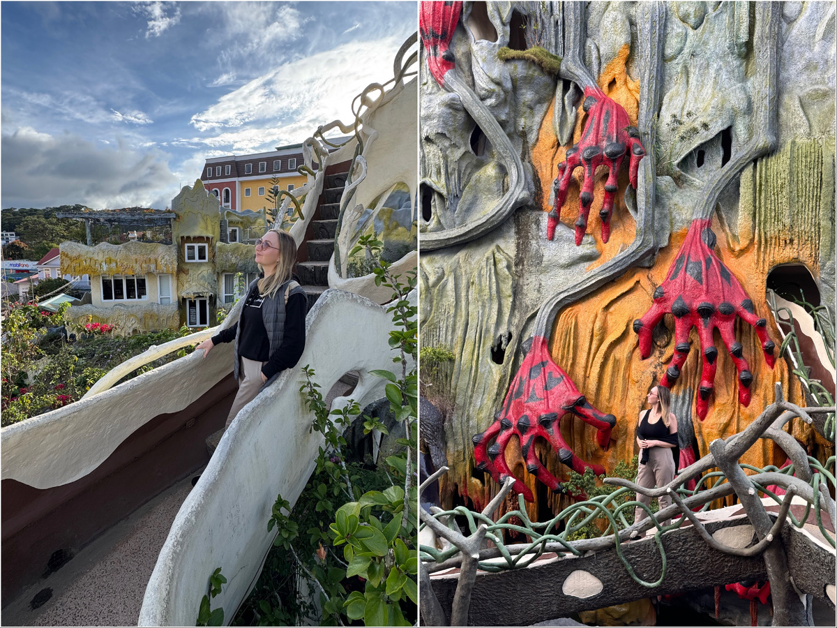 «Сумасшедший дом»