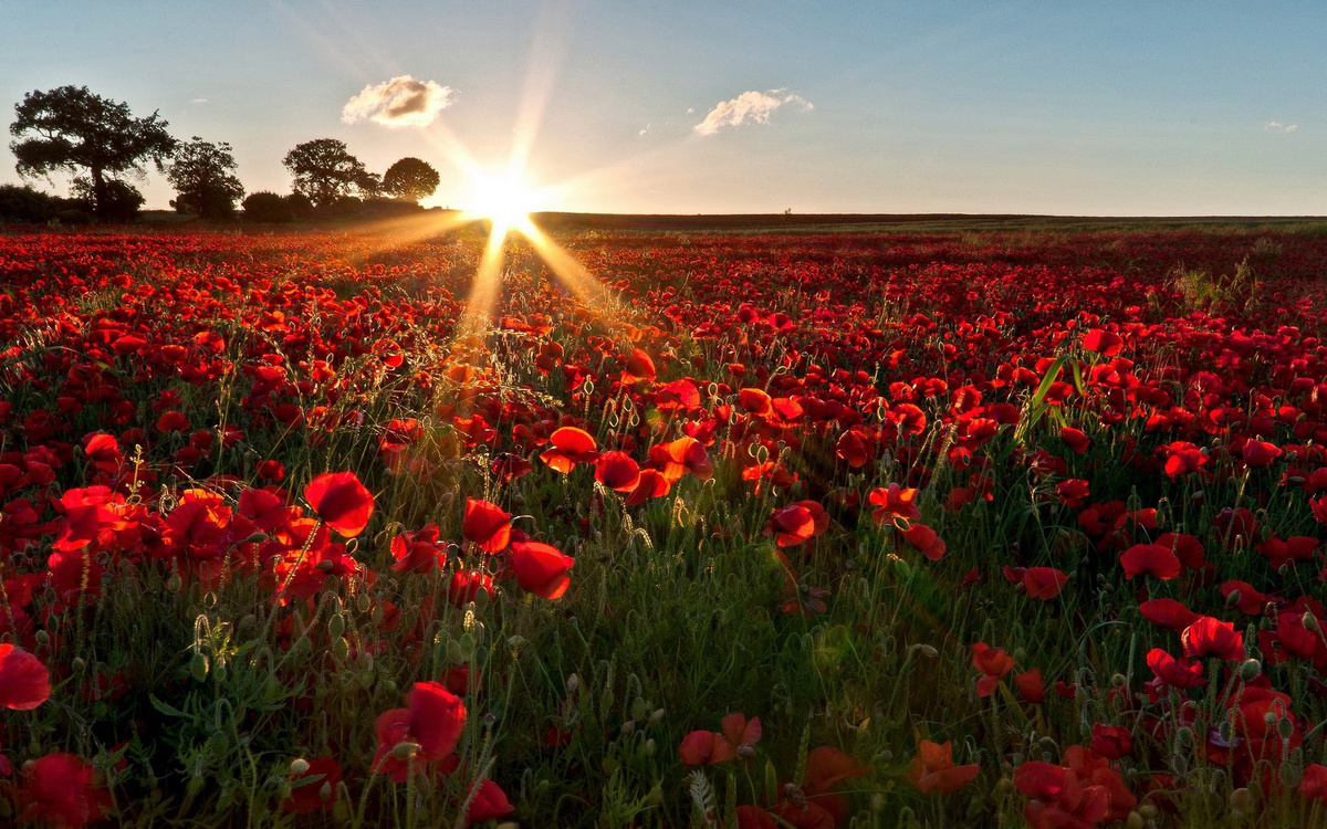 Картинка аватарки нового канала