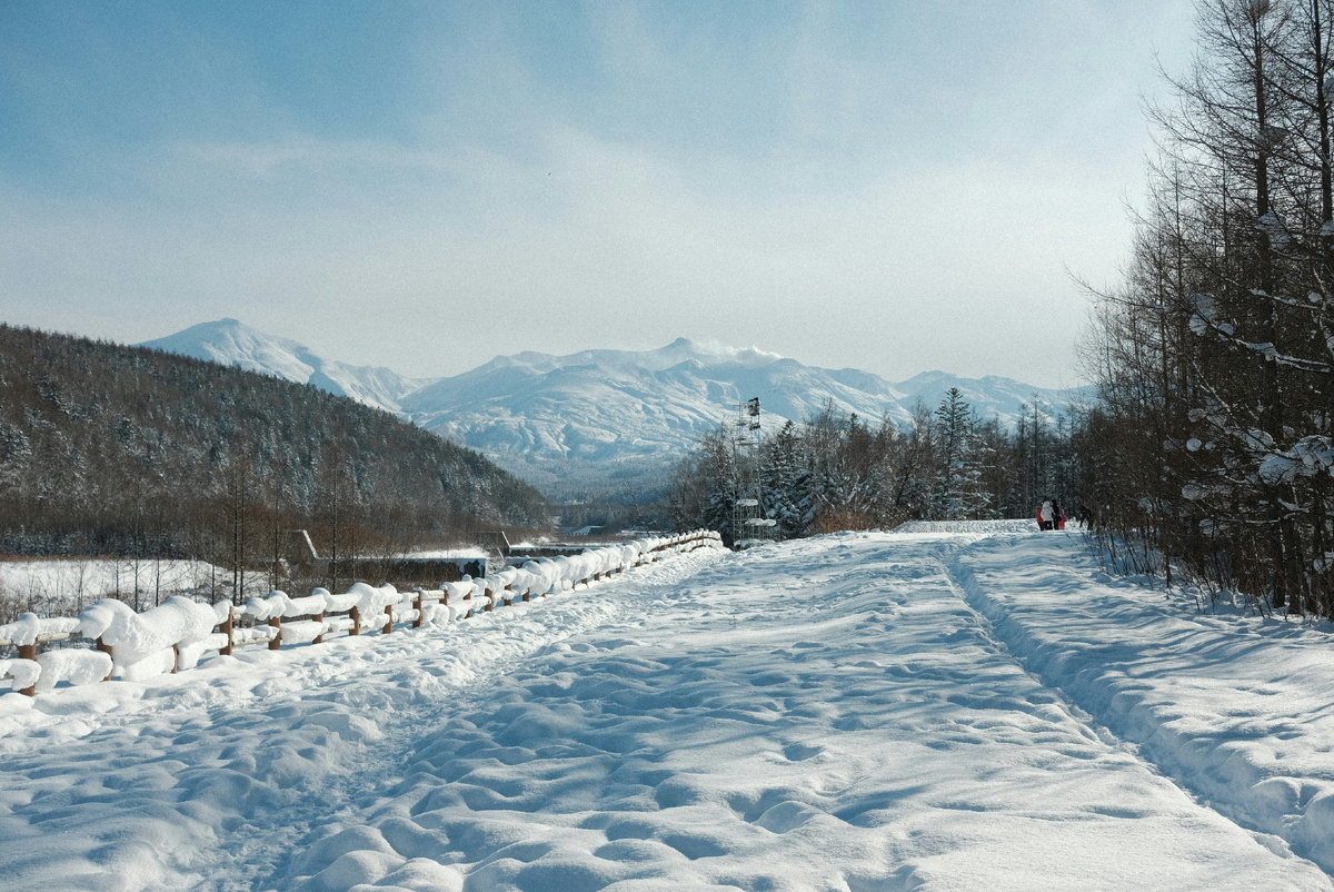 Картинка с бесплатного фотостока https://unsplash.com, автор Dominic Kurniawan Suryaputra