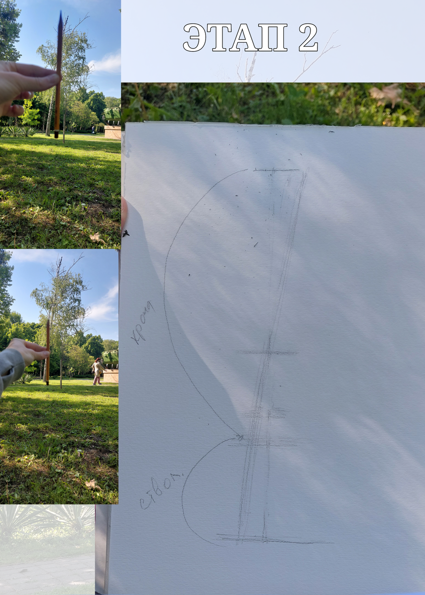 Этап 2. Используем карандаш, находим пропорции основных деталей. Середину, соотношение высоты видимой части ствола и кроны. Уточняю наклон ствола относительно вертикали.