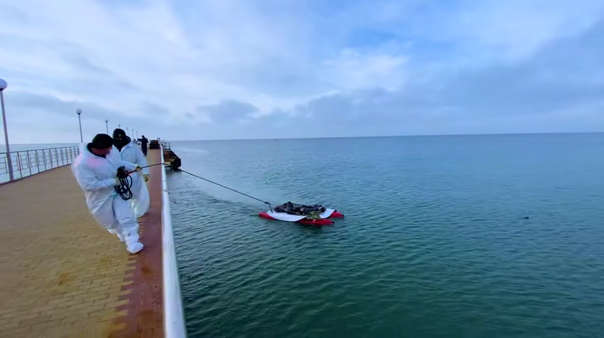 Фото: кадр из видео