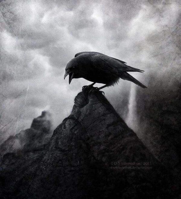 Иллюстрация из открытых источников. 