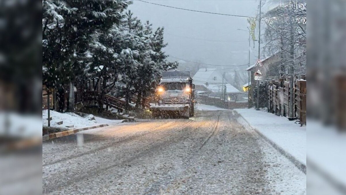    Фото: t.me/admadler