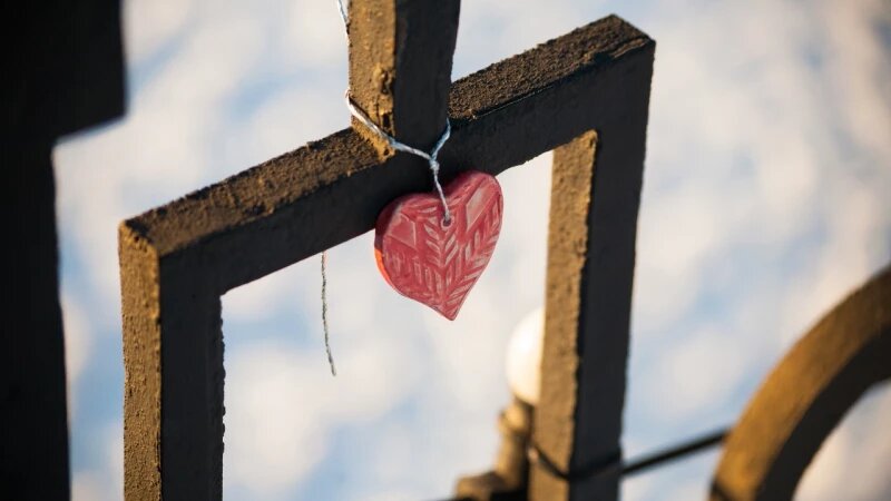     Парк "Изумрудный", 2025 год. Дарья Беркетова