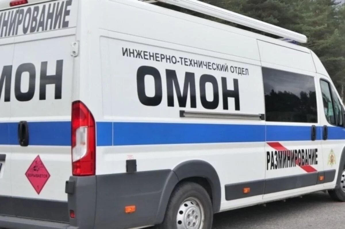    Из петербургского колледжа эвакуировали почти 1000 человек из-за лжеминёров