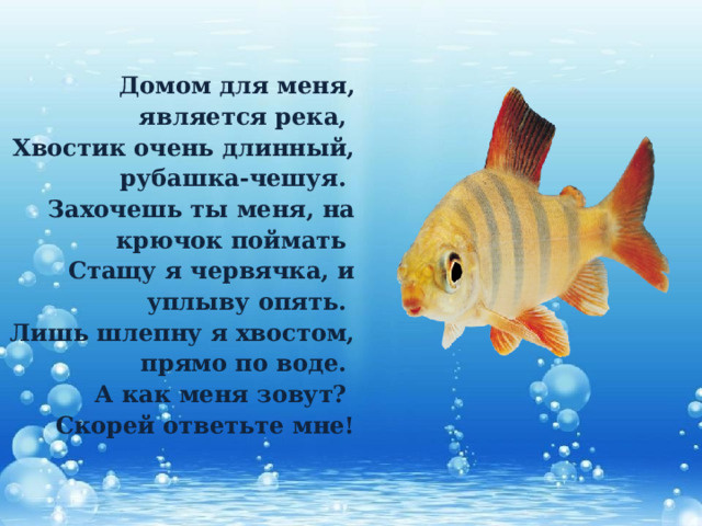 из яндекс картинок.