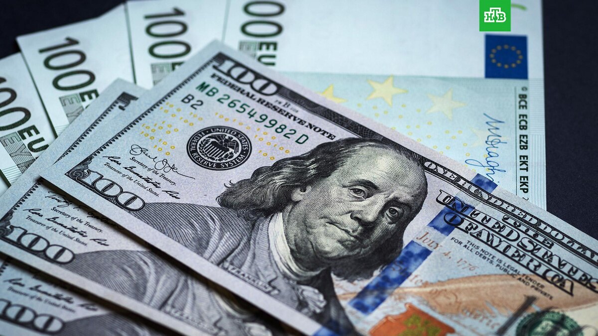    Фото: РИА Новости © 2025, Виталий Тимкив