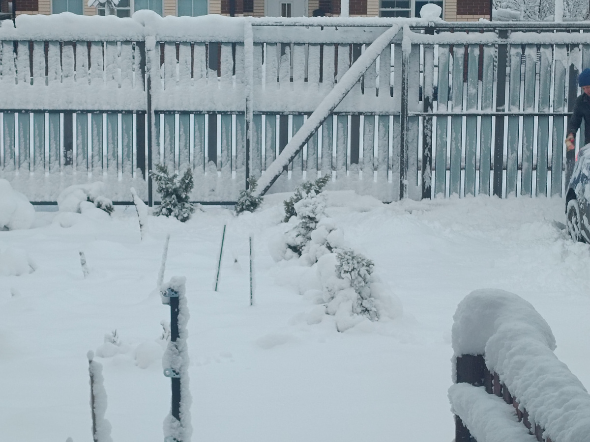 Даже наш реечный забор весь белый