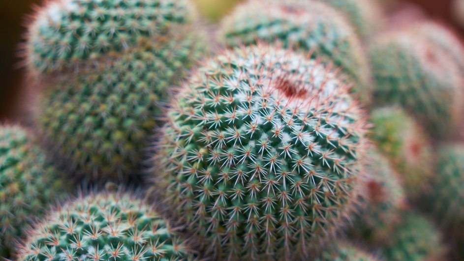 Источник: Freepik