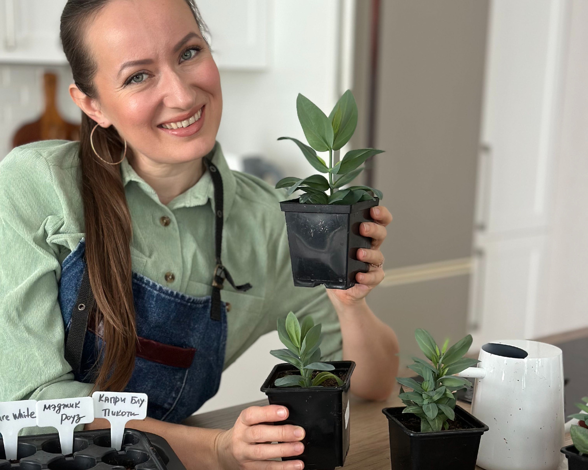 Элегантный, но очень капризный цветок