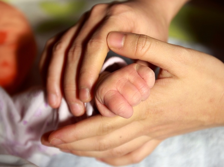     Фото: pxhere.com