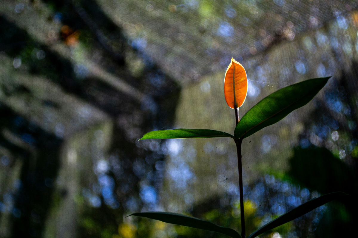 Картинка с бесплатного фотостока https://unsplash.com, автор Luis Beeves