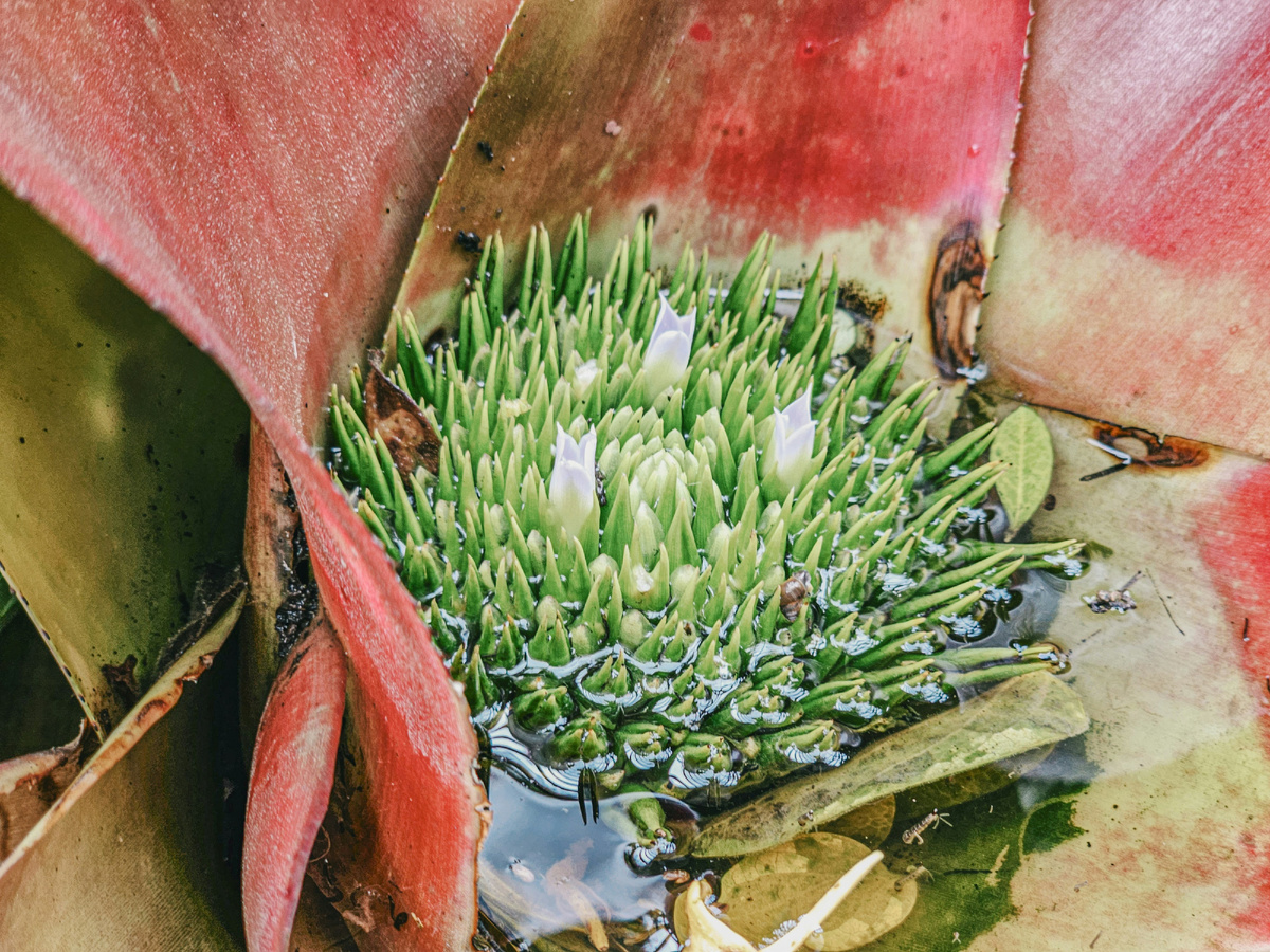 Картинка с бесплатного фотостока https://unsplash.com, автор Zhang qc