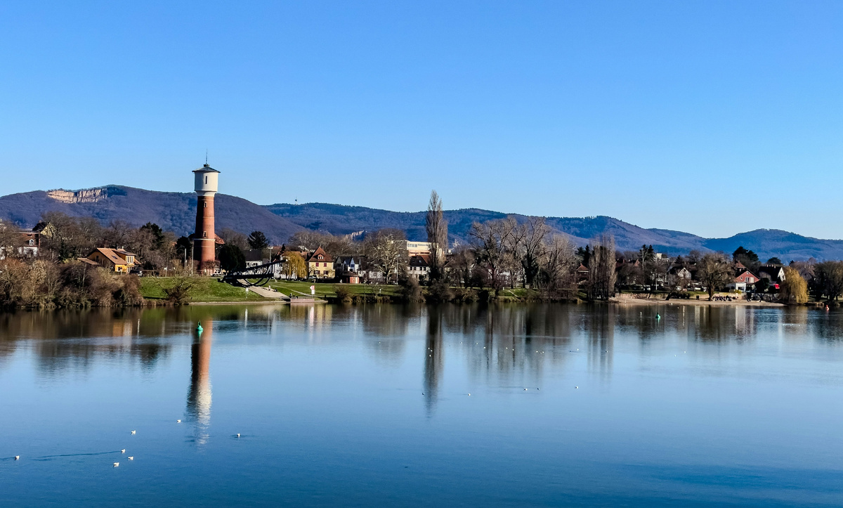 Картинка с бесплатного фотостока https://unsplash.com, автор Bernd 📷 Dittrich