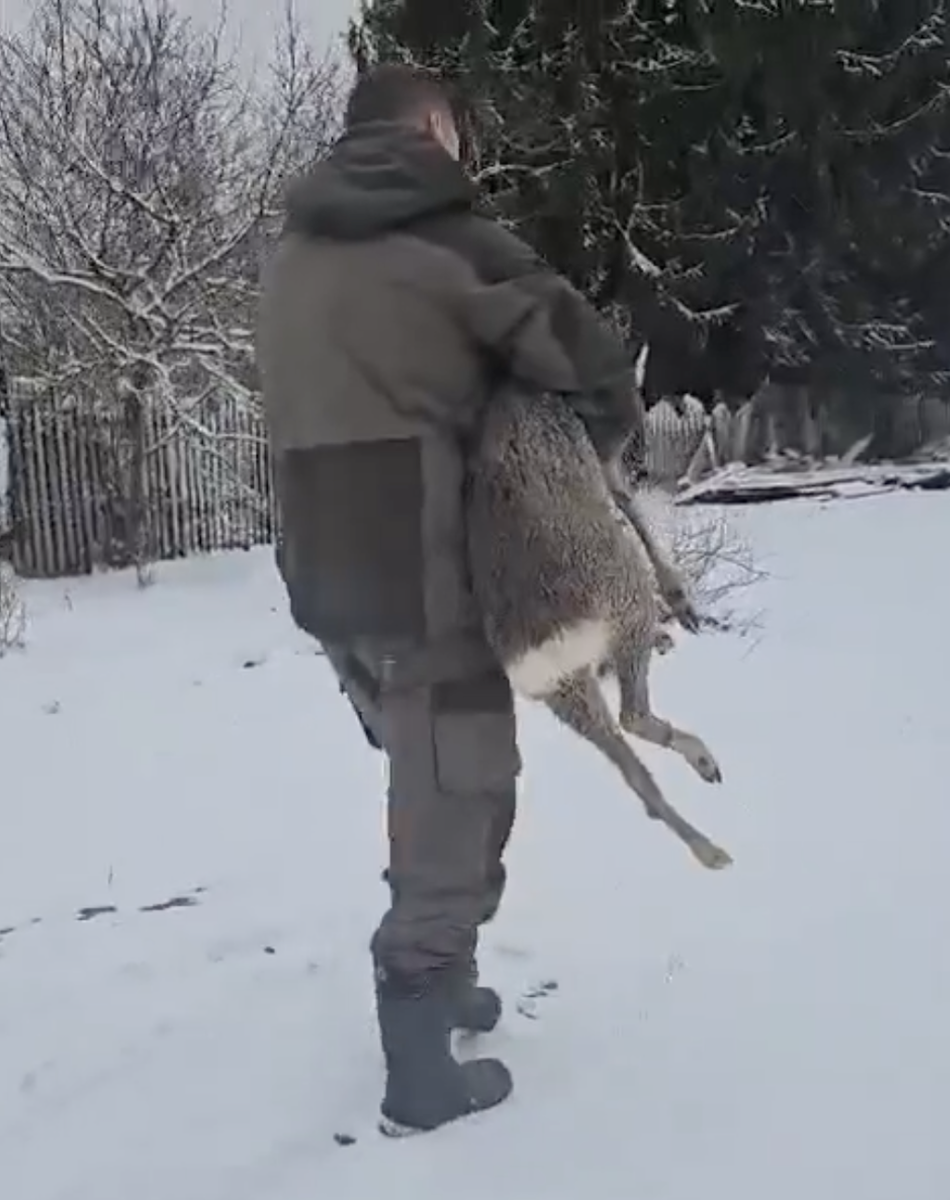 Фото: vk.com/smolensk_lakeland