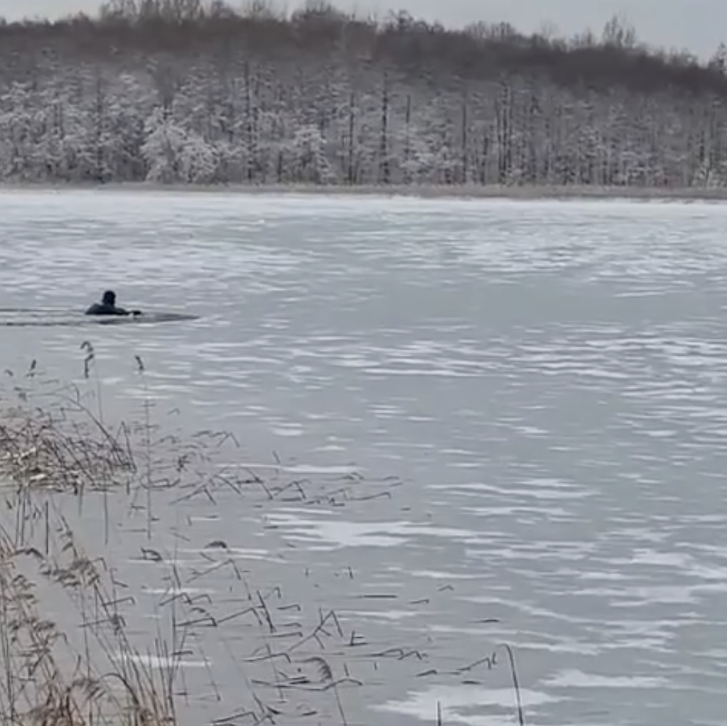 Фото: vk.com/smolensk_lakeland