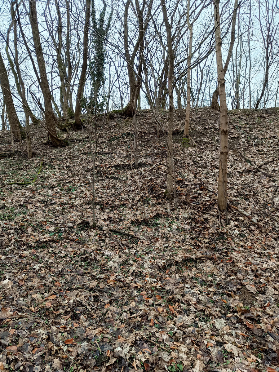 Холмы перед домом 