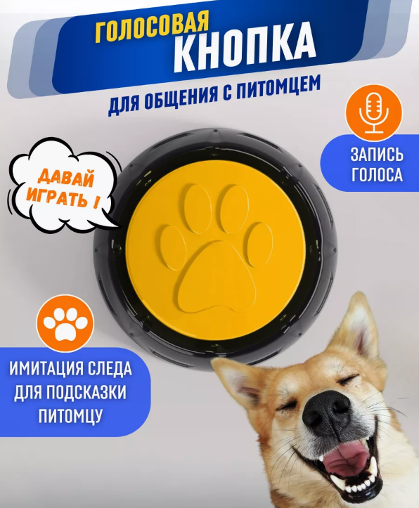 Балдежные детали - 10 новинок на Wildberries