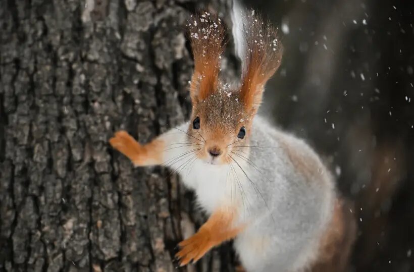     © РИА Новости. Рамиль Ситдиков