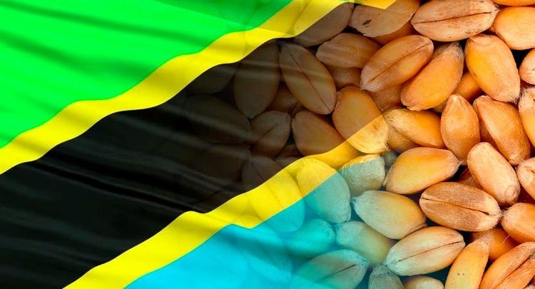    Танзания как один из самых перспективных игроков восточноафриканского зернового рынка