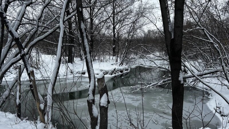     Снег. Кристина Тарасова