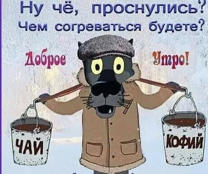 Фото из интернета.