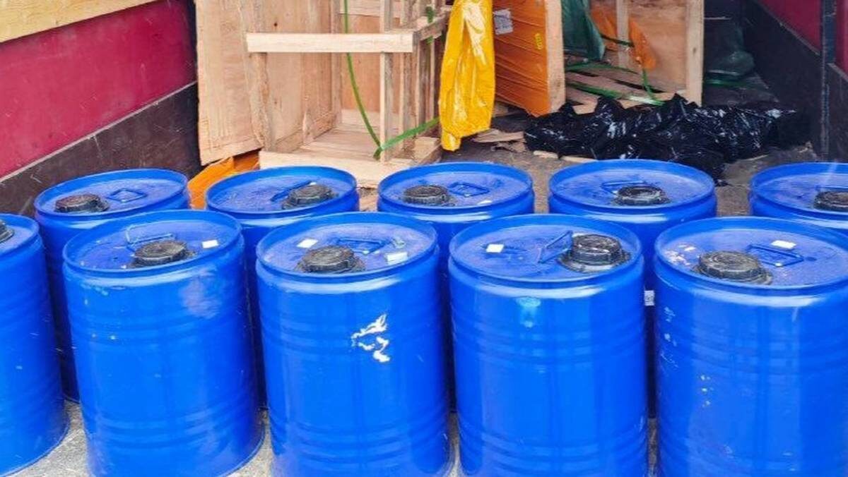    Фото: Пресс-служба ФТС России / Telegram