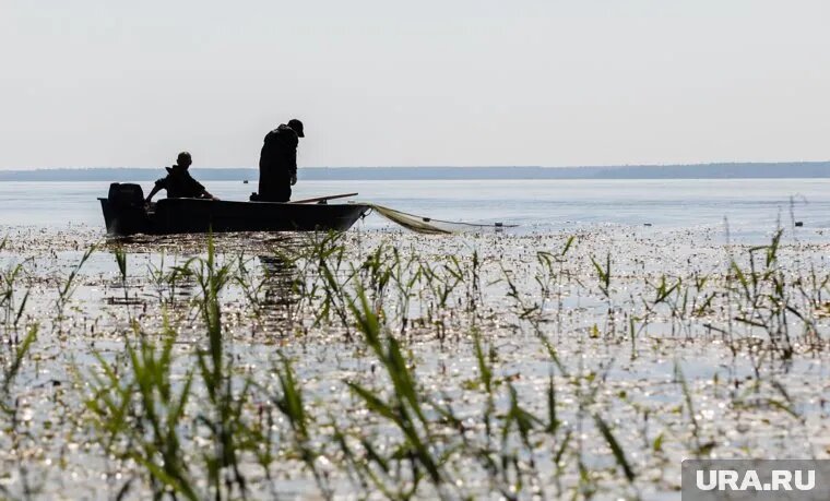 В отношении браконьеров в 2024 году возбуждено 13 уголовных дел. Фото: Александр Кулаковский © URA.RU